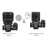 Canon RF 85mm F2 Marco IS STM 微距定焦鏡 公司貨