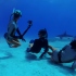 GoPro 原廠配件 ADDIV-001 60米潛水防水殼 保護殼 運動攝影機 HERO 9
