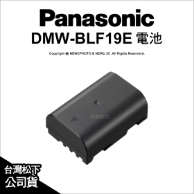 Panasonic DMW-BLF19E 原電