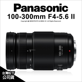 Panasonic 100-300mm F4~5.6 H-FSA100300E