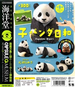 海洋堂 ￥300 圓滾滾可愛小貓熊