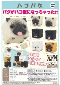 Kitan ￥300 四角巴哥