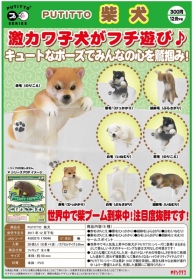 Kitan ￥300 柴犬杯緣裝飾