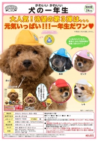 Kitan ￥300 狗狗專屬頭巾P3-一年級新生篇