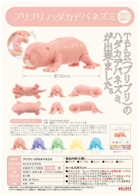 Kitan ￥300 捏捏彩色裸鼴鼠公仔
