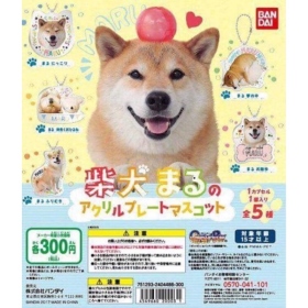Bandai ￥300 柴犬MARU壓克力吊飾