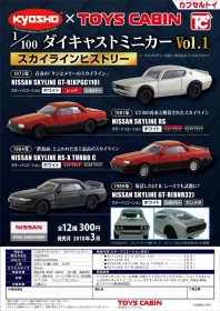 Toys.￥300 1/100 NISSAN SKYLINE