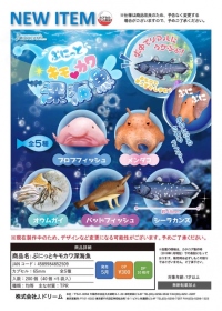 J.DREAM ￥300 捏捏可愛深海魚
