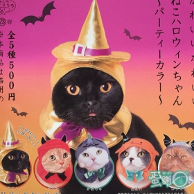 Kitan ￥500 貓咪頭巾P11-萬聖節新色篇