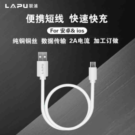 聯浦_Type-C 25cm快充線_黑/白