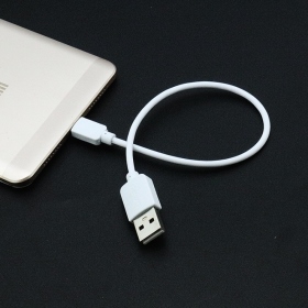 聯浦_MicroUSB 25cm快充線_白